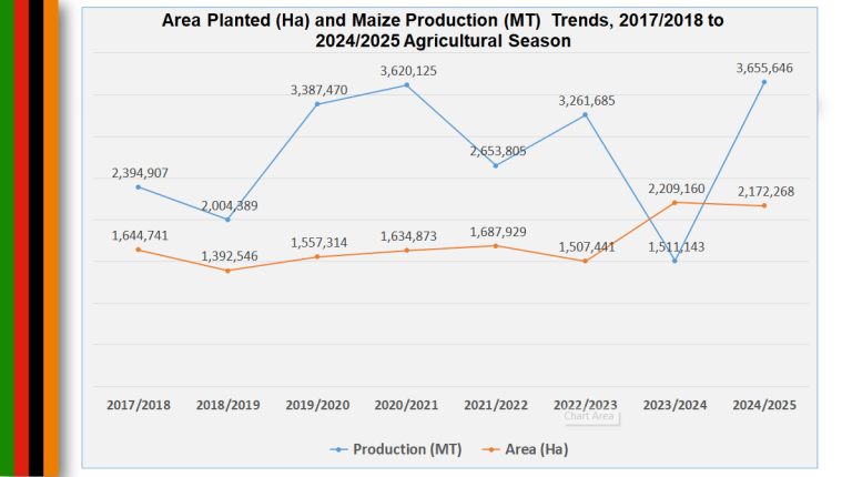 Expected Maize production for 2024/2025 Agricultural season rises
