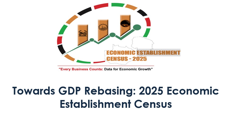 DISSEMINATION OF THE 2025 ECONOMIC CENSUS ESTABLISHMENT CENSUS PRELIMINARY RESULTS